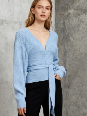 Slim Fit V-Neck Knit Top
